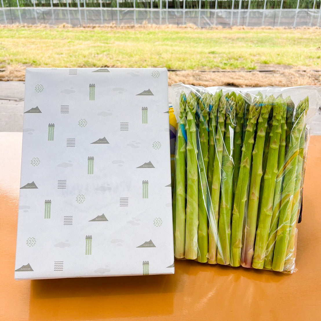 【夏のお中元に】包装・熨斗付き夏のグリーンアスパラガス1kg