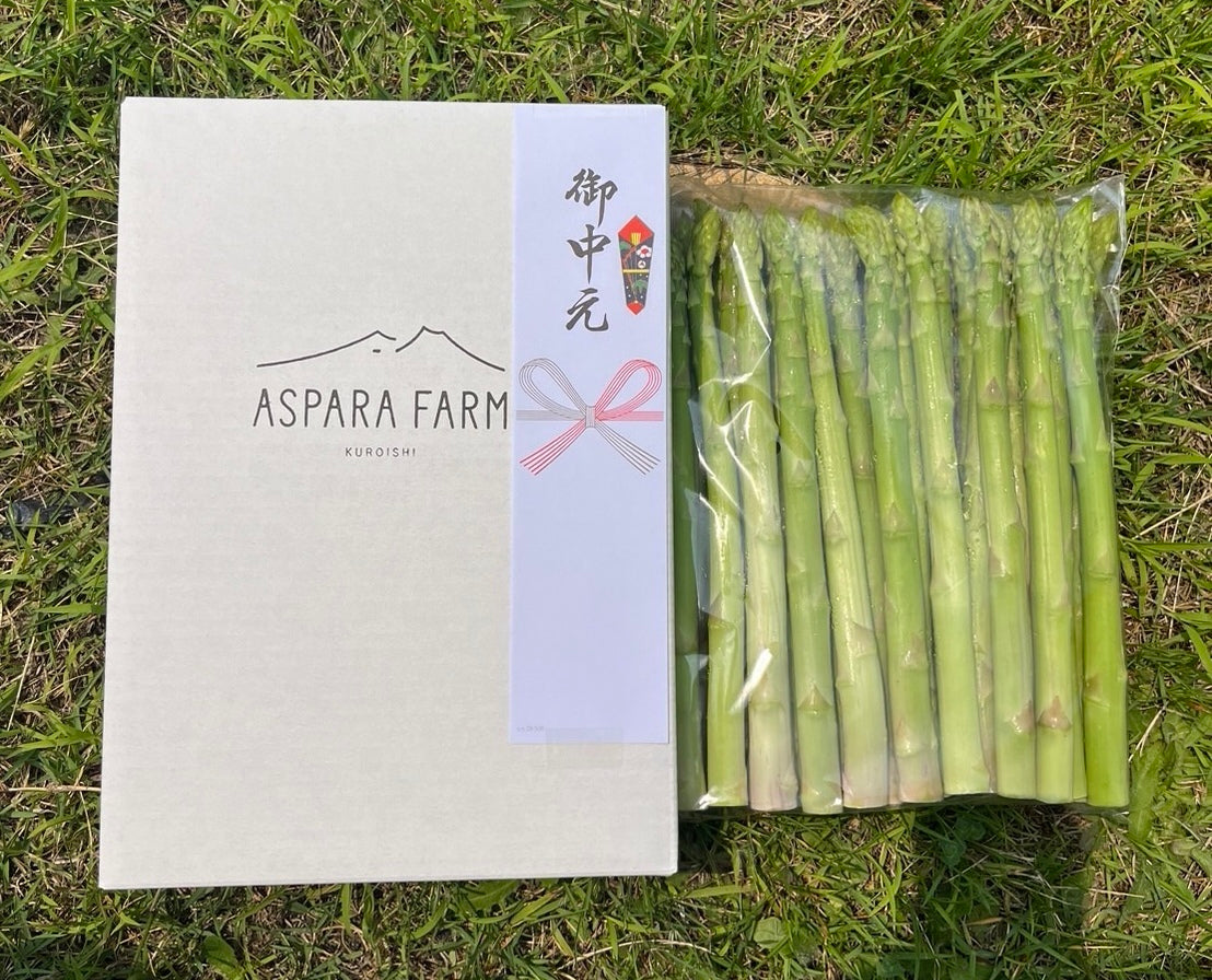 【夏のお中元に】包装・熨斗付き夏のグリーンアスパラガス1kg